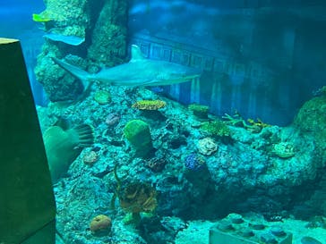 レゴランドⓇ・ジャパン・リゾートに投稿された画像（2024/3/15）