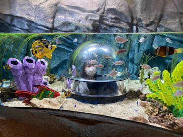 レゴランドⓇ・ジャパン・リゾートに投稿された画像（2024/3/15）