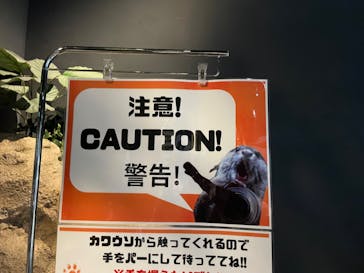 DMMかりゆし水族館に投稿された画像（2024/3/15）