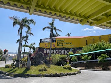 ナゴパイナップルパークに投稿された画像（2024/3/15）