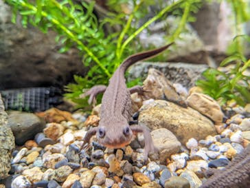 到津の森公園に投稿された画像（2024/3/15）