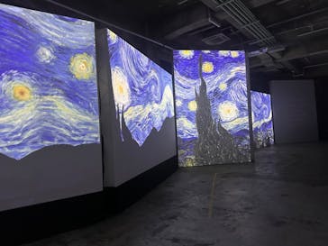 ゴッホ・アライブに投稿された画像（2024/3/15）