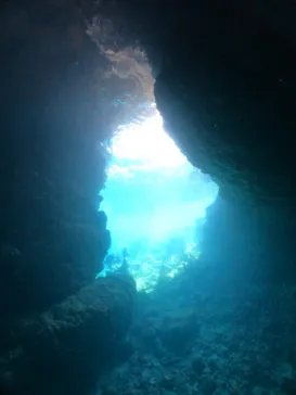 武藤潜水に投稿された画像（2024/3/15）