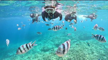 武藤潜水に投稿された画像（2024/3/15）