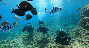 武藤潜水に投稿された画像（2024/3/15）