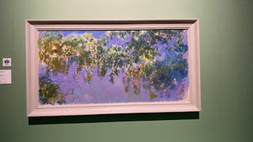 モネ　連作の情景に投稿された画像（2024/3/15）