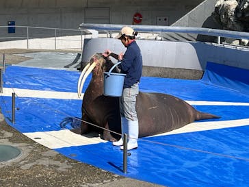 大分マリーンパレス水族館 「うみたまご」に投稿された画像（2024/3/15）
