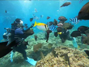 武藤潜水に投稿された画像（2024/3/15）