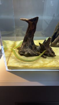 AOAO SAPPOROに投稿された画像（2024/3/15）