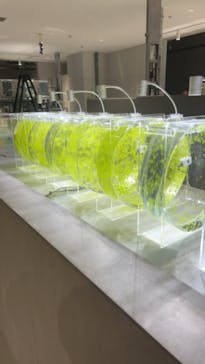 AOAO SAPPOROに投稿された画像（2024/3/15）