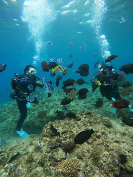 武藤潜水に投稿された画像（2024/3/15）