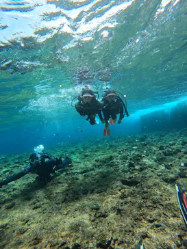 武藤潜水に投稿された画像（2024/3/15）