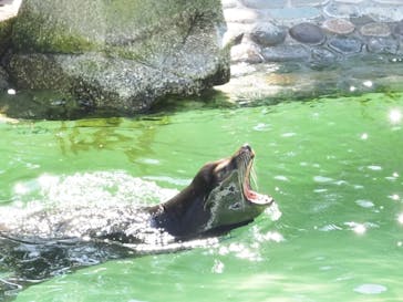 千葉市動物公園に投稿された画像（2024/3/15）