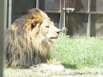 千葉市動物公園に投稿された画像（2024/3/15）