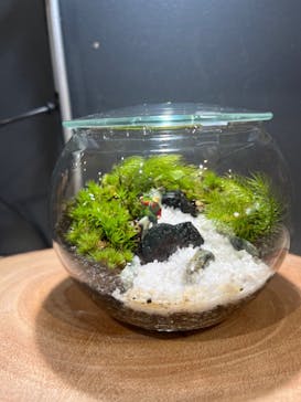 Terrariums メトロ・エム後楽園店に投稿された画像（2024/3/15）
