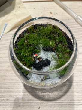 Terrariums メトロ・エム後楽園店に投稿された画像（2024/3/15）