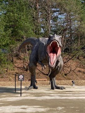 福井県立恐竜博物館に投稿された画像（2024/3/15）