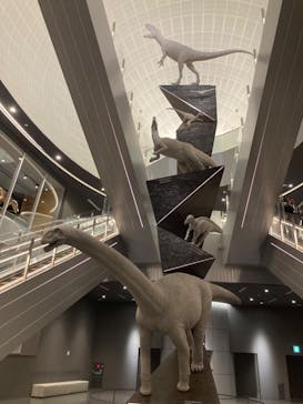 福井県立恐竜博物館に投稿された画像（2024/3/15）