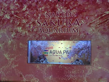 マクセル アクアパーク品川に投稿された画像（2024/3/15）