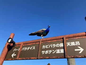 伊豆シャボテン動物公園に投稿された画像（2024/3/15）