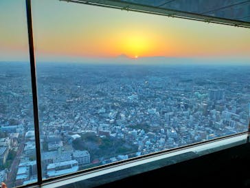 横浜ランドマークタワー 69階展望フロア スカイガーデンに投稿された画像（2024/3/15）