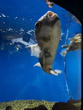 仙台うみの杜水族館に投稿された画像（2024/3/15）