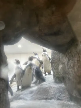 仙台うみの杜水族館に投稿された画像（2024/3/15）