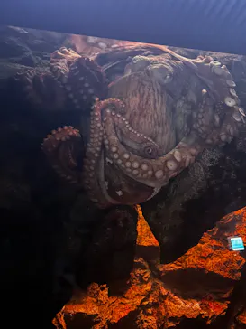 仙台うみの杜水族館に投稿された画像（2024/3/15）