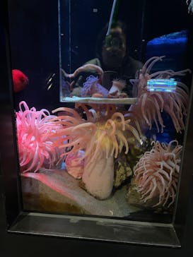 上越市立水族博物館 うみがたりに投稿された画像（2024/3/15）