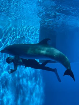 上越市立水族博物館 うみがたりに投稿された画像（2024/3/15）