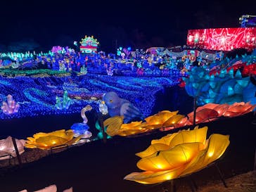 伊豆ぐらんぱる公園に投稿された画像（2024/3/15）