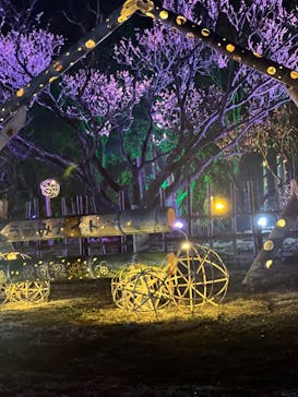 せんだい農業園芸センター　みどりの杜に投稿された画像（2024/3/15）