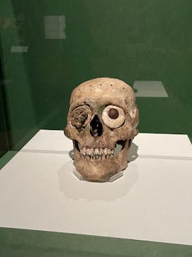 特別展「古代メキシコ ーマヤ、アステカ、テオティワカン」に投稿された画像（2024/3/15）