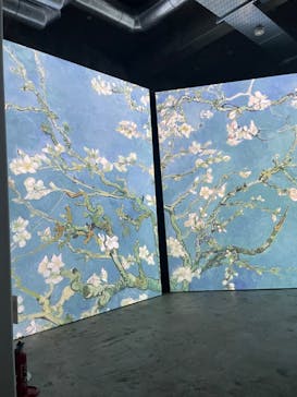 ゴッホ・アライブに投稿された画像（2024/3/15）