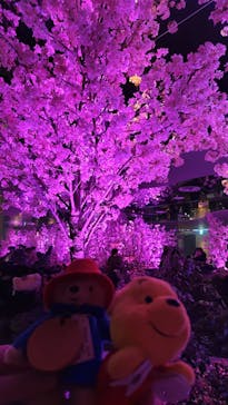 サンシャイン60展望台に投稿された画像（2024/3/15）