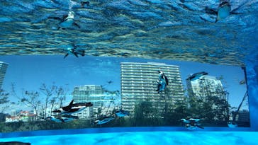 サンシャイン水族館に投稿された画像（2024/3/15）