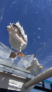 サンシャイン水族館に投稿された画像（2024/3/15）