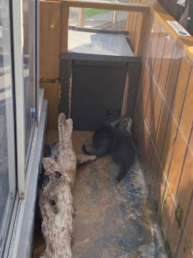 大分マリーンパレス水族館 「うみたまご」に投稿された画像（2024/3/15）