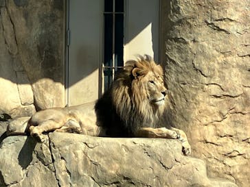 千葉市動物公園に投稿された画像（2024/3/15）