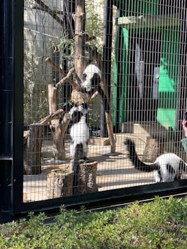 千葉市動物公園に投稿された画像（2024/3/15）