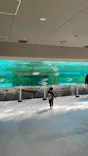 天王寺動物園に投稿された画像（2024/3/16）