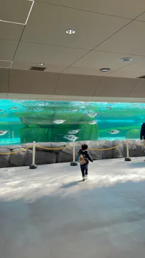 天王寺動物園に投稿された画像（2024/3/15）