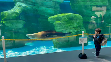 天王寺動物園に投稿された画像（2024/3/15）