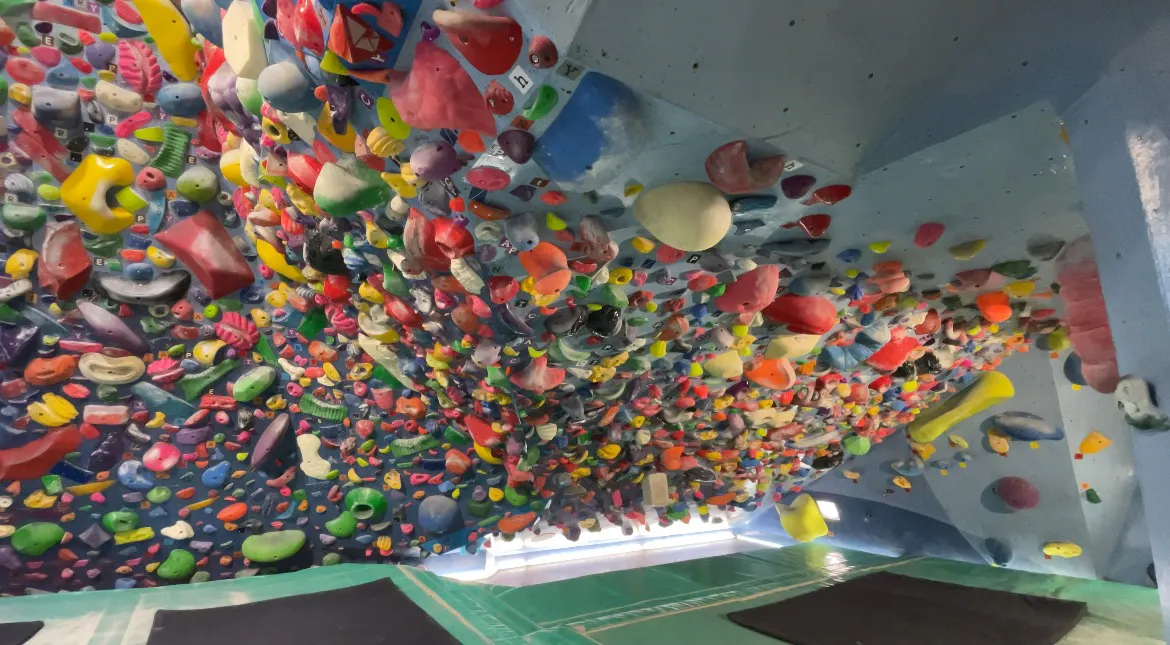 review0002115575-001--c5db5223