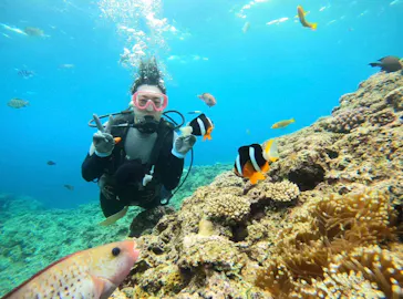 武藤潜水に投稿された画像（2024/3/16）