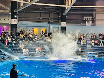 マクセル アクアパーク品川に投稿された画像（2024/3/16）