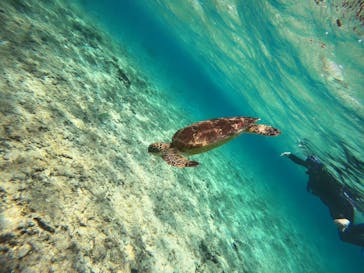 宮古島 ADVENTURE PiPi（ミヤコジマ アドベンチャー ピピ）に投稿された画像（2024/3/16）