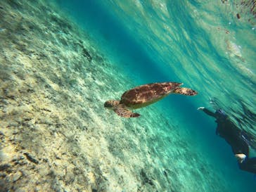 宮古島 ADVENTURE PiPi（ミヤコジマ アドベンチャー ピピ）に投稿された画像（2024/3/16）