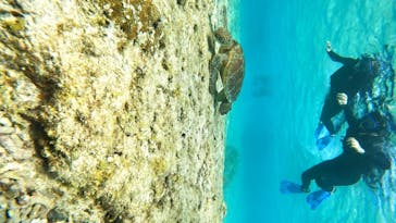 宮古島 ADVENTURE PiPi（ミヤコジマ アドベンチャー ピピ）に投稿された画像（2024/3/16）