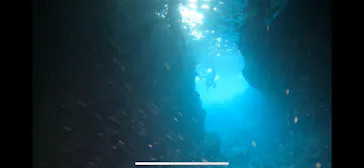 武藤潜水に投稿された画像（2024/3/16）